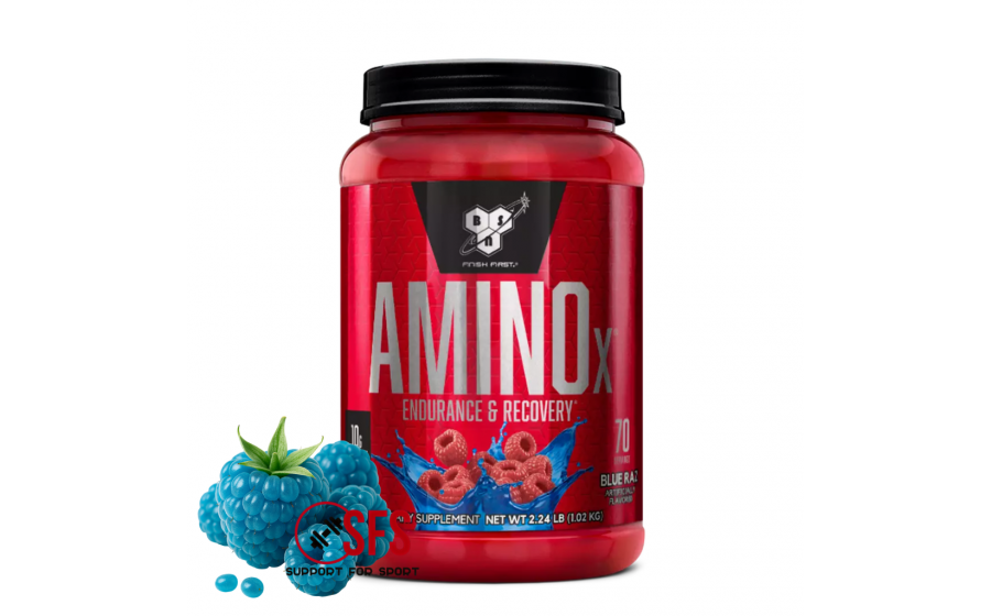 BSN Amino X — 1.02 кг, смак Синя малина