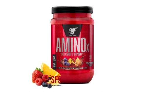 BSN Amino X Fruit Punch 435 г амінокислоти