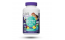 Earths Creation Kids Super Focus Bacopa 60 Gummy