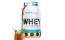 Everbuild Nutrition Ultra Premium Whey Protein Build 908 g – Choco Mint Shake