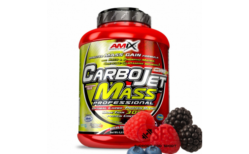 AMIX CarboJet Gain Mass Professional 3000 g Forest Fruit