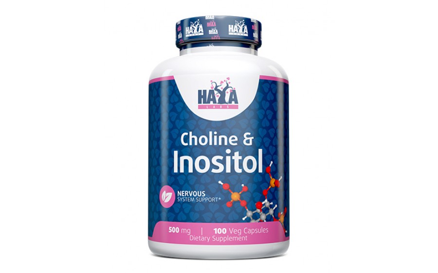 Купити Haya Labs Choline & Inositol 500 mg – 100 капсул, ори Haya Labs Choline & Inositol 500 mg – упаковка 100 веган кап