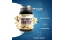 IronMaxx 100% Whey Protein 900 г – Французька Ваніль