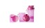 SmartShake NEON Pink V1 (600 ml, pink)