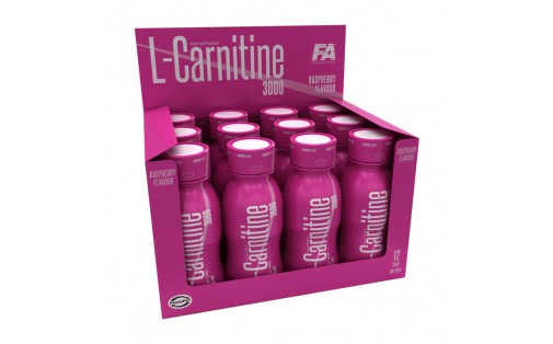 L-Carnitine 3000 (12 x 100 ml, fruit)