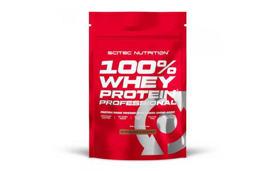 100% Whey Protein Professional (500 g, chocolate)