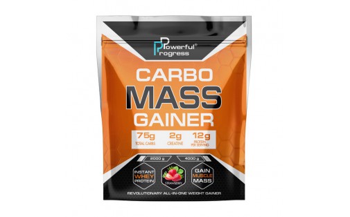 Carbo Mass Gainer (4 kg, blueberry cheesecake)