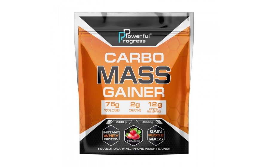 Carbo Mass Gainer (4 kg, blueberry cheesecake)