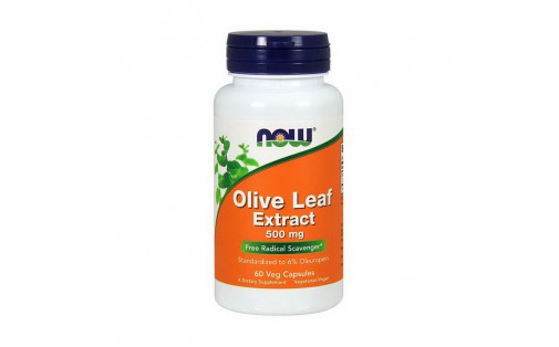 Olive Leaf Extract 500 mg (60 veg caps)