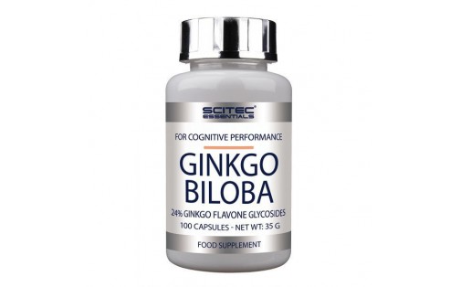 Ginkgo Biloba (100 caps)