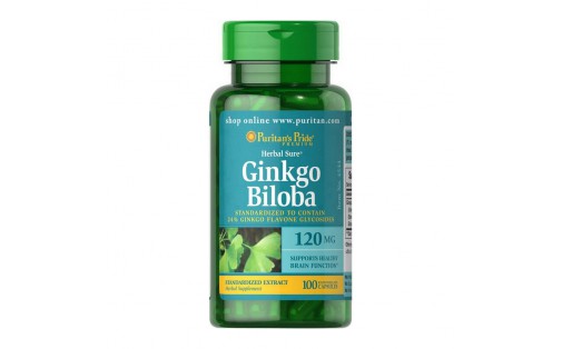 Ginkgo Biloba 120 mg (100 caps)