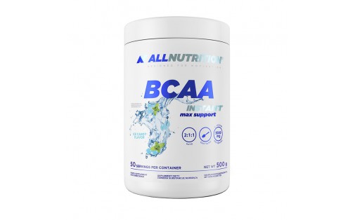 BCAA Instant Max Support (500 g, orange)