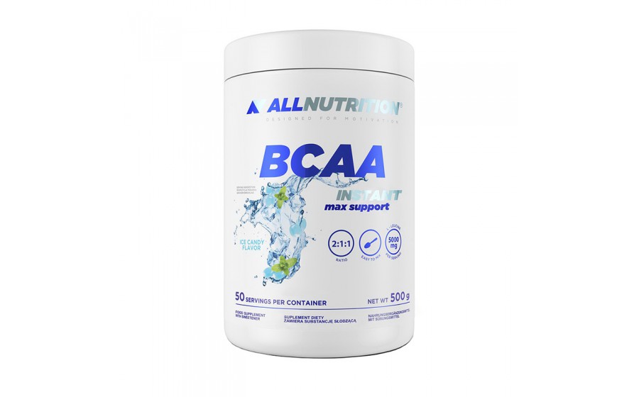 BCAA Instant Max Support (500 g, orange)