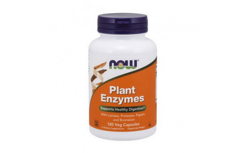 Plant Enzymes (120 veg caps)