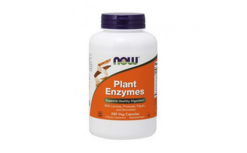 Plant Enzymes (240 veg caps)