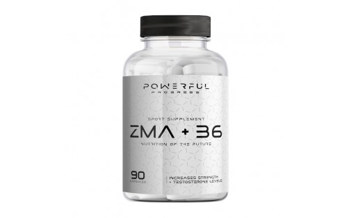 ZMA+B6 (90 caps)