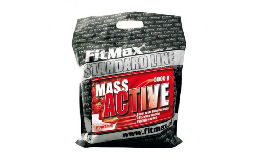 Mass Active 20 (4 kg, vanilla)