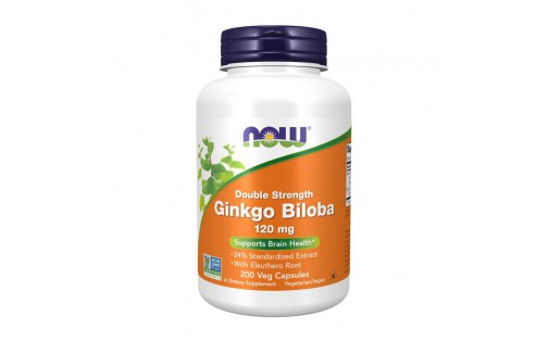 Ginkgo Biloba 120 mg Double Strength (200 veg caps)