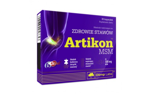 Artikon MSM (30 caps)