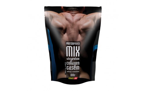 Protein Power MIX (1 kg, альпійська рапсодія)