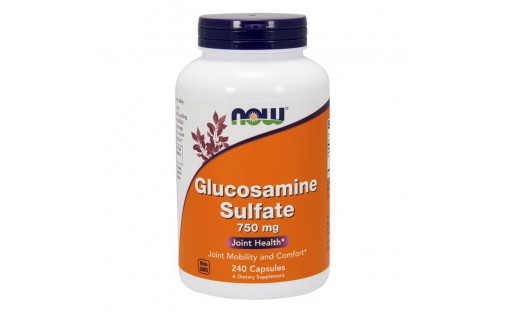 Glucosamine Sulfate 750 mg (240 caps)