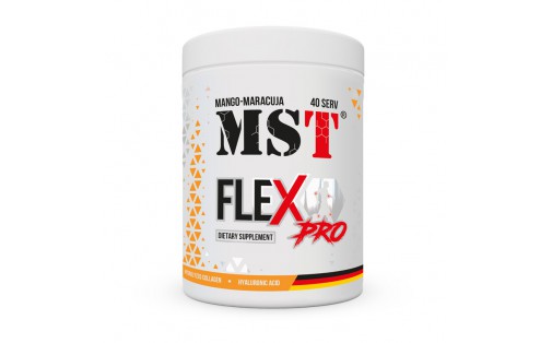 FleX Pro (420 g, mango-maracuja)