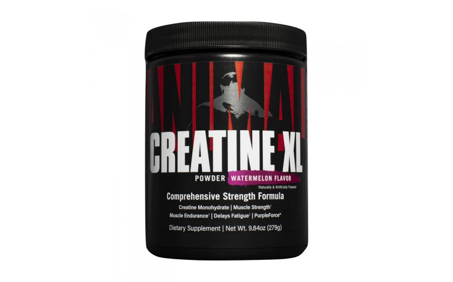 Creatine XL (279 g, fruit punch)