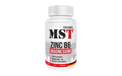 Zinc Magnesium B6 (120 vcaps)