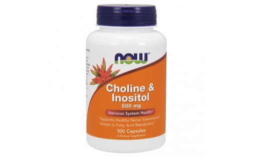 Choline & Inositol 500 mg (100 caps)