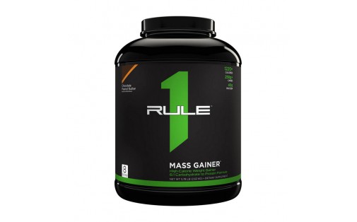 Mass Gainer (2,6 kg, chocolate fudge)