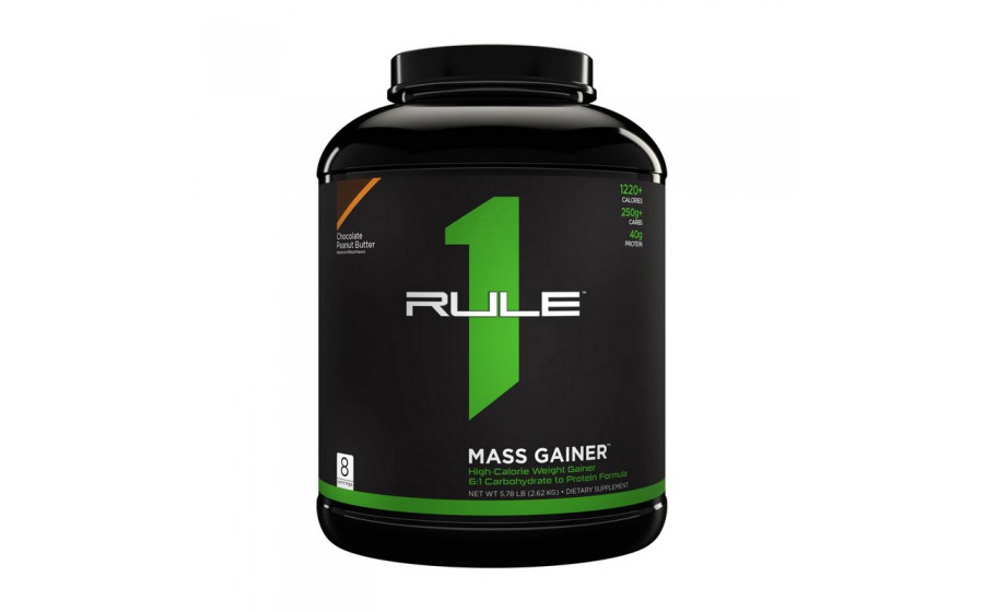 Mass Gainer (2,6 kg, chocolate fudge)