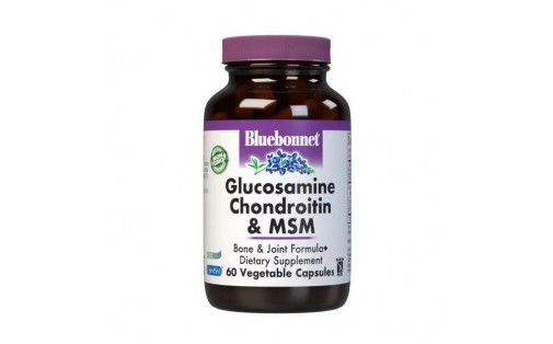 Glucosamine Chondroitin & MSM (60 veg caps)