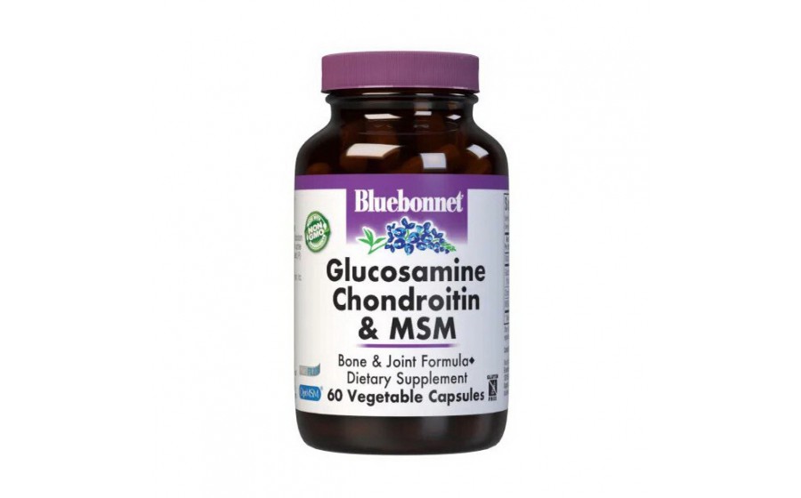 Glucosamine Chondroitin & MSM (60 veg caps)