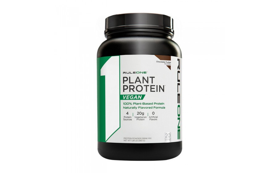 Plant Protein Vegan (610 g, chocolate fudge)