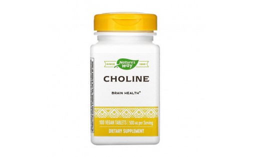 Choline 500 mg (100 veg caps)