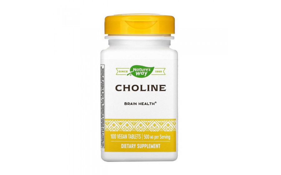 Choline 500 mg (100 veg caps)