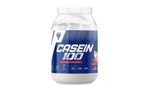 Casein 100 (600 g, chocolate)