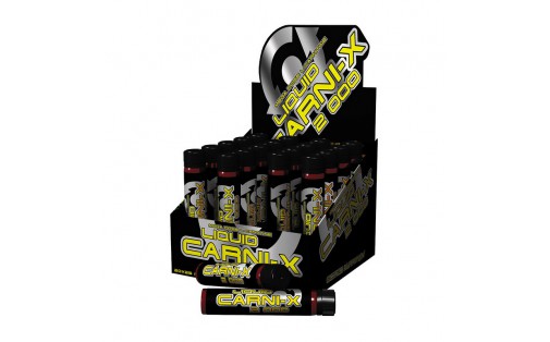 Carni X liquid 2000 (20*25 ml, lime)