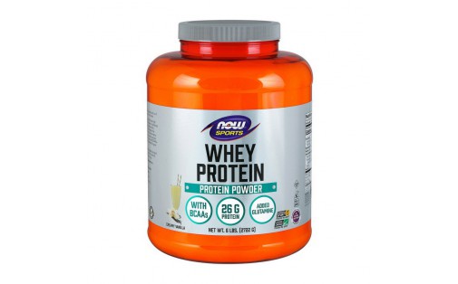 Whey Protein (2,7 kg, natural vanilla)