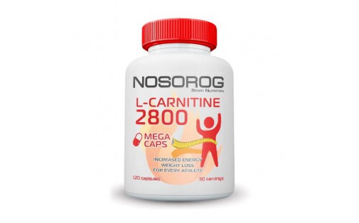 L-Carnitine 2800 mega tabs (120 tab)