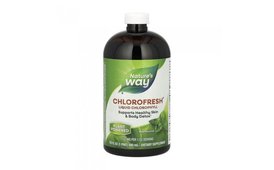 Chlorofresh Liquid Chlorophyll (480 ml, mint)