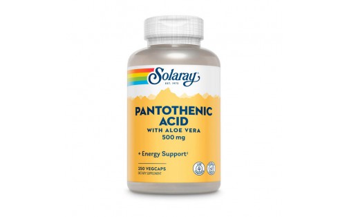 Pantothenic Acid 500 mg (250 veg caps)