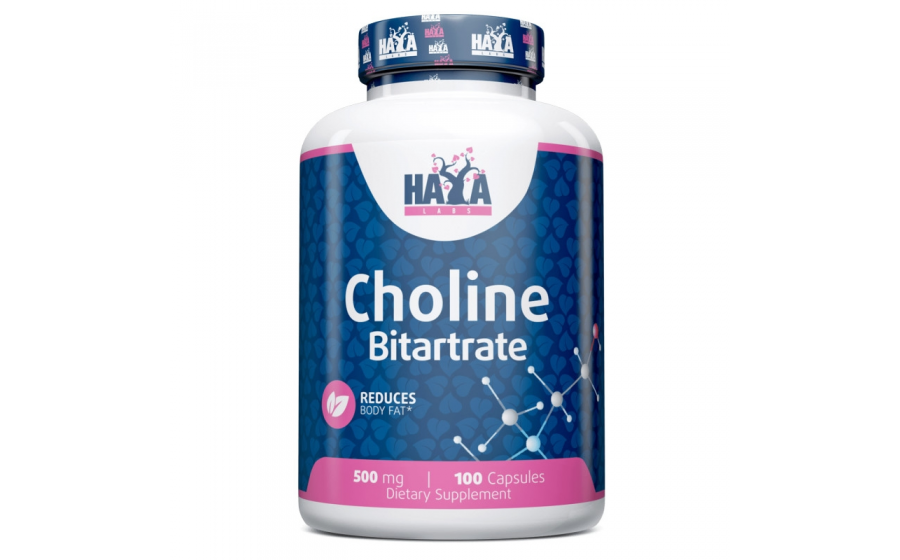 Haya Labs Choline Bitartrate 500 мг (100 caps)