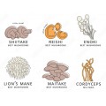 Mushroom Complex