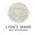 Їжовик Гребінчатий/Lion's Mane
