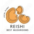 Рейші/Reishi